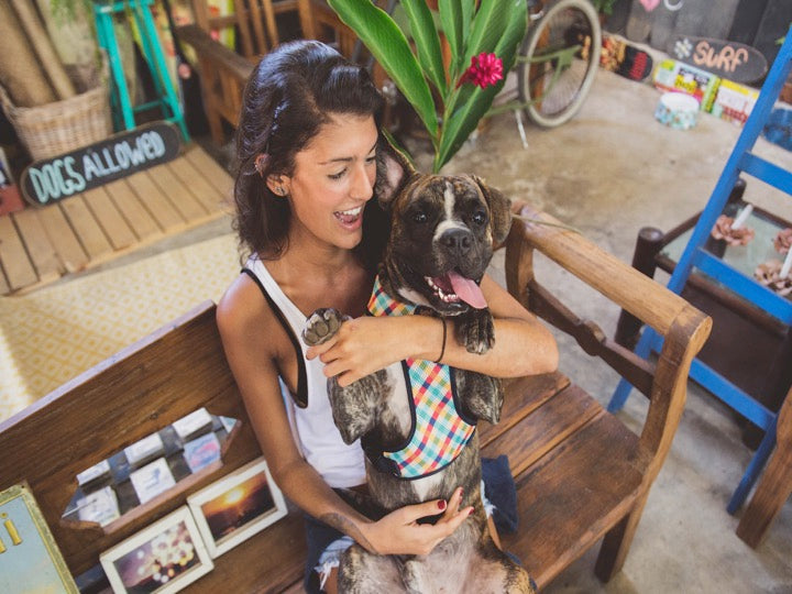 ZEEDOG AIR MESH HARNESS PHANTOM L