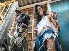 ZEEDOG AIR MESH HARNESS PHANTOM L
