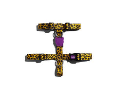 ZEEDOG H-HARNESS HONEY L