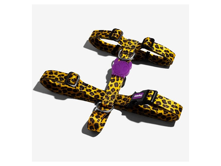 ZEEDOG H-HARNESS HONEY XS