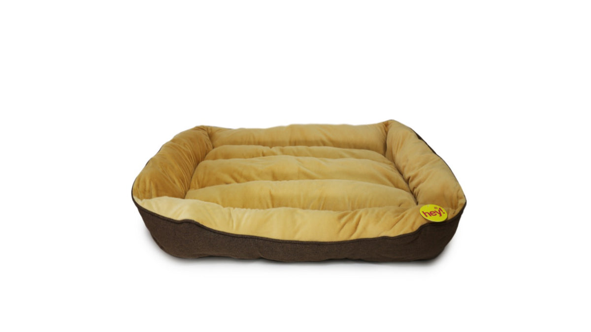 HEY! CAMA CONFORT CAFE Y BEIGE TALLA XL.