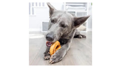 COLAGEPET DONA SNACK CARNE, 1 UNIDAD.