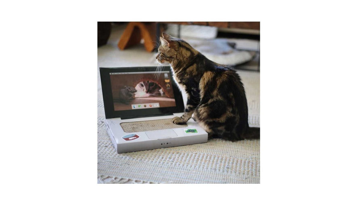 BRNX RASCADOR CATBOOK/COMPUTADOR