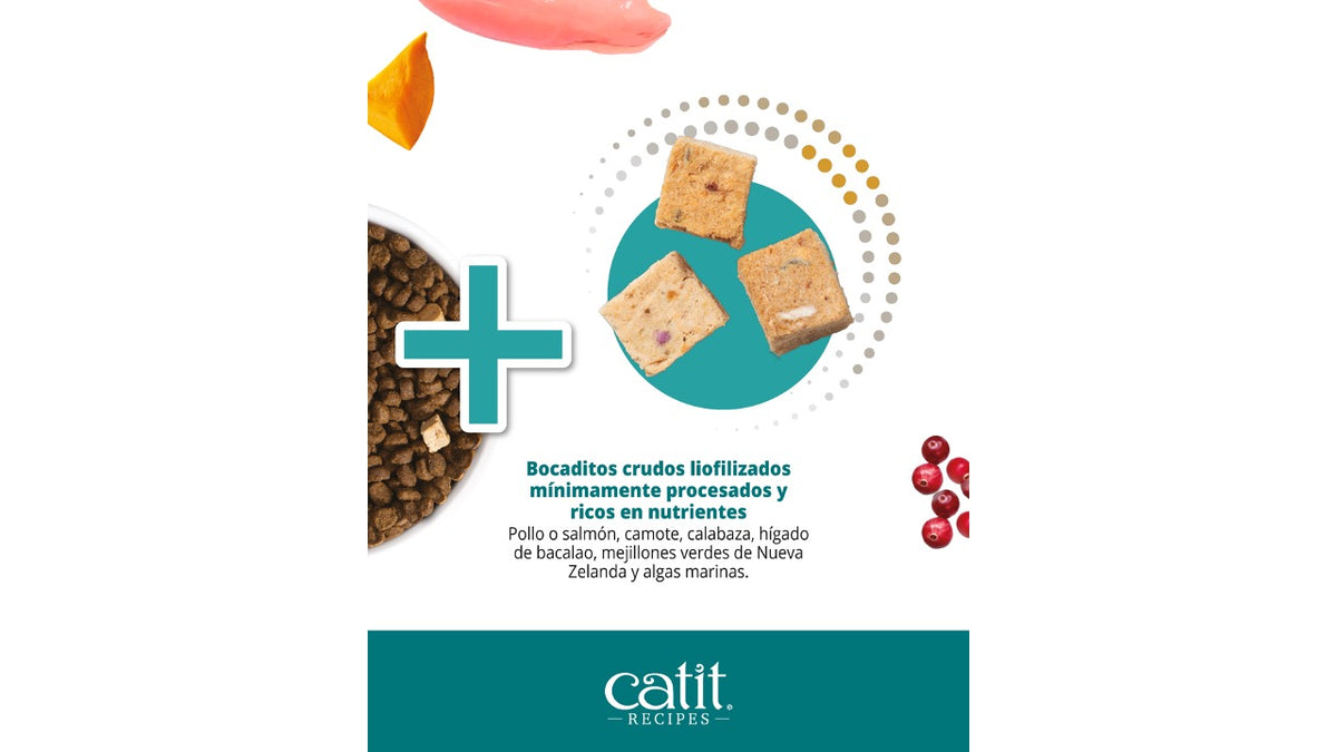 CATIT RECIPES DOUBLE FUSION SENIOR. 4,5 KILOS.