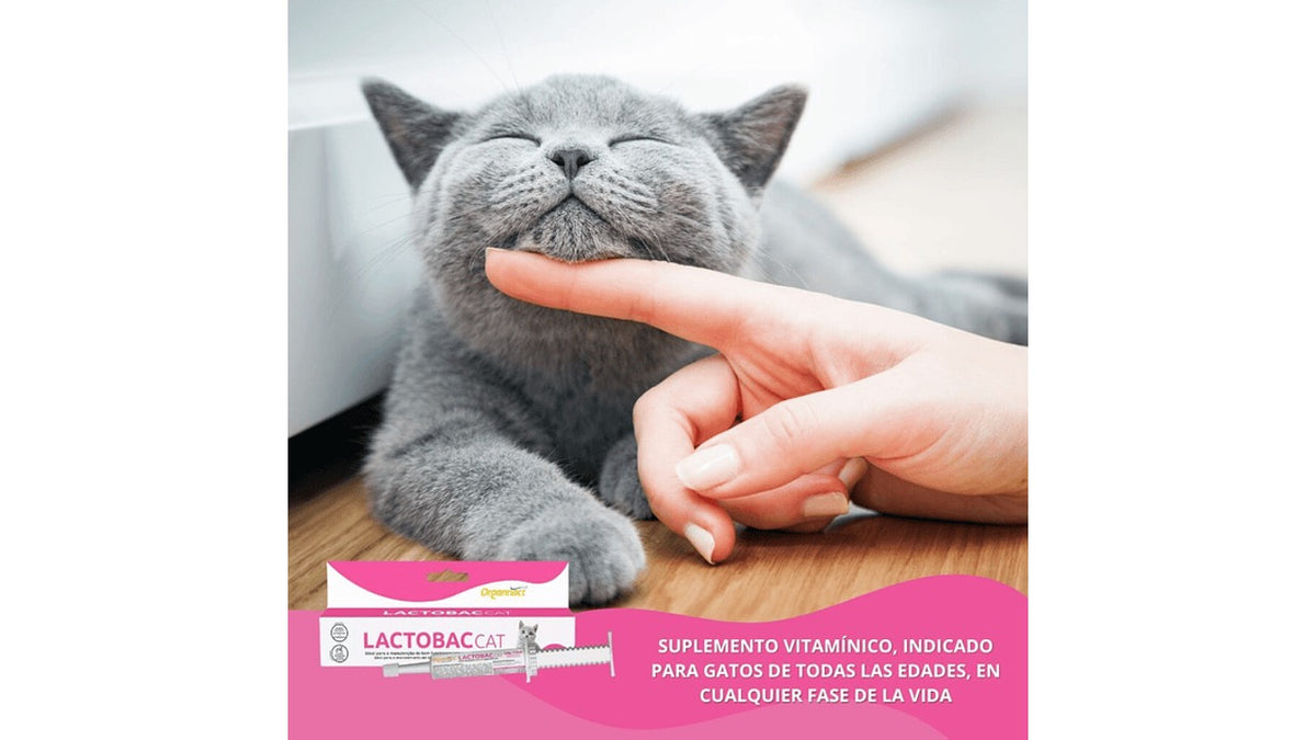 LACTOBAC CAT, 12ML.