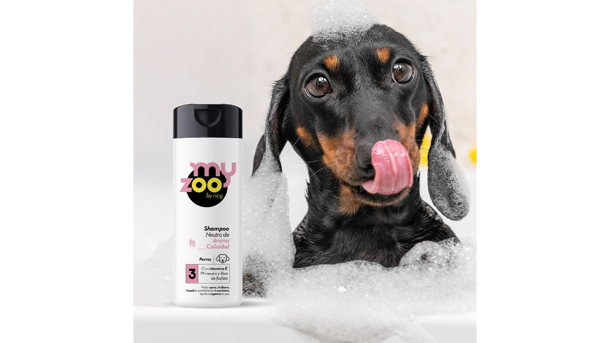 Shampoo Neutro Avena Coloidal, My Zoo. 420CC.