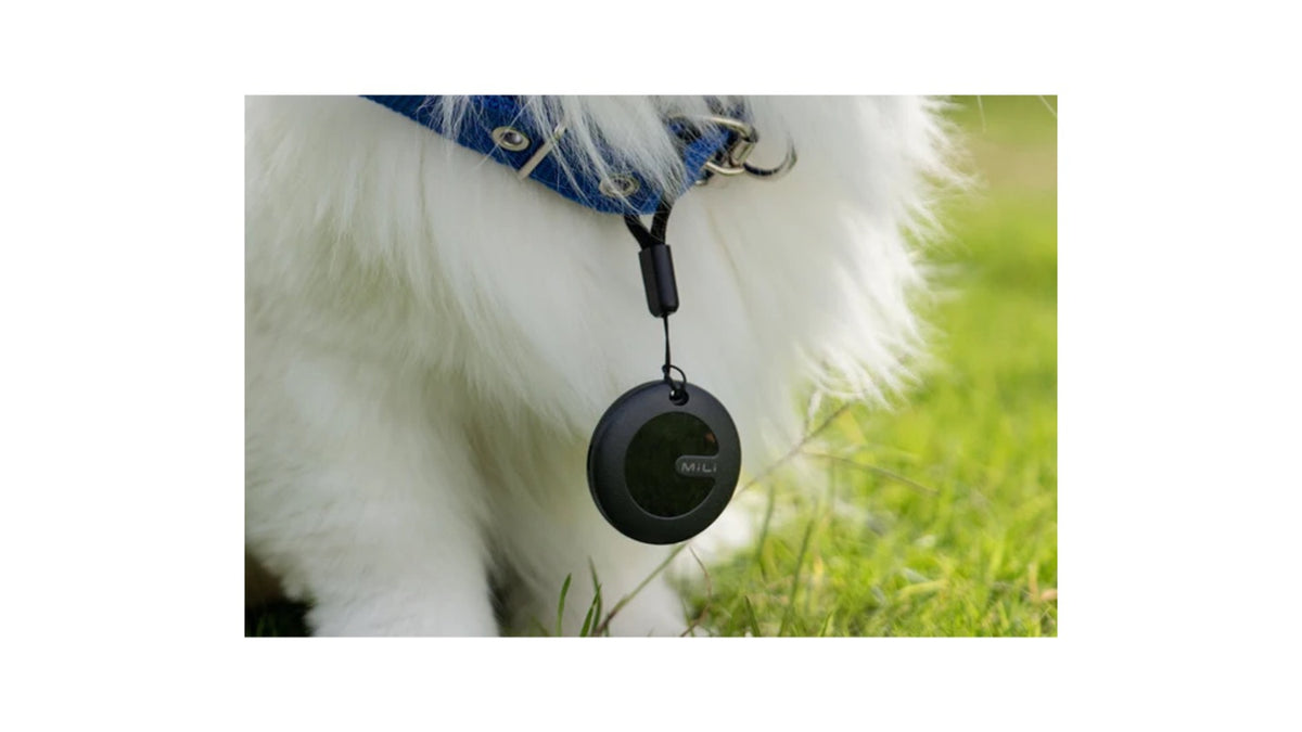 GPS PARA MASCOTAS NEGRO – iOS y Android Compatible