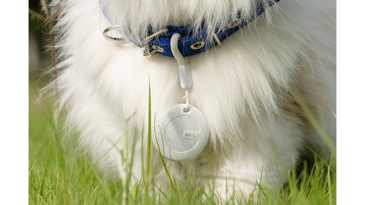 GPS PARA MASCOTAS BLANCO – iOS y Android Compatible