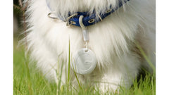 GPS PARA MASCOTAS BLANCO – iOS y Android Compatible