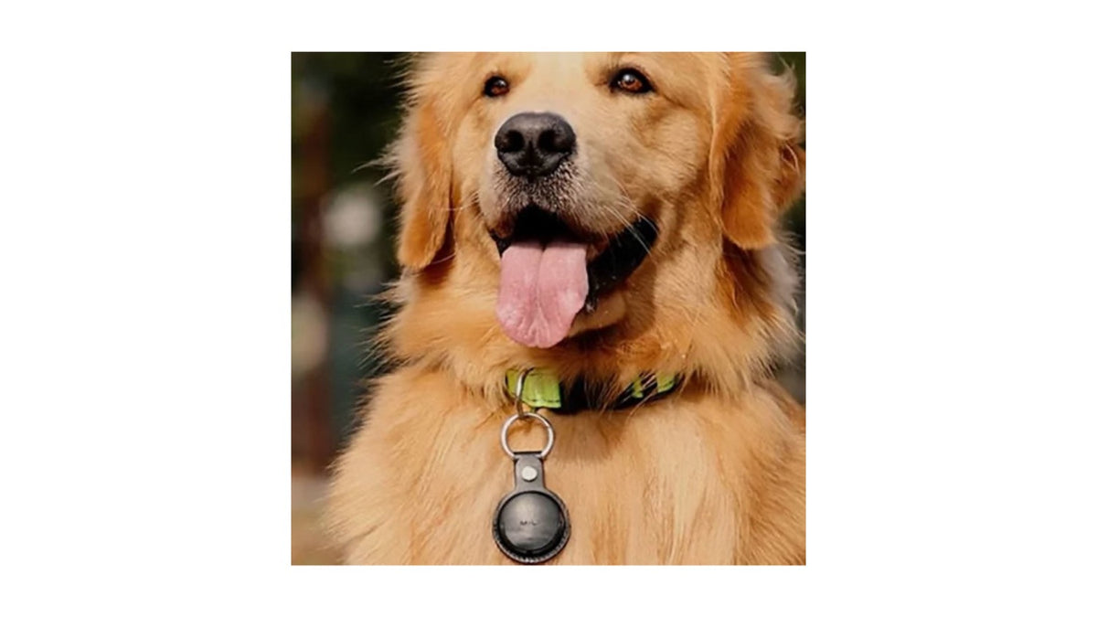 GPS PARA MASCOTAS NEGRO – iOS y Android Compatible
