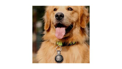 GPS PARA MASCOTAS NEGRO – iOS y Android Compatible