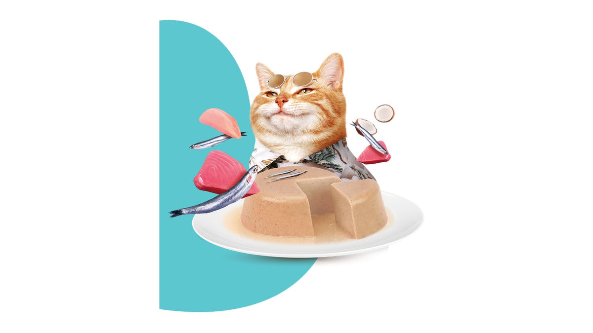 MOOCHIE DIGESTIVE CARE ( GRAIN FREE ). 70 GR.