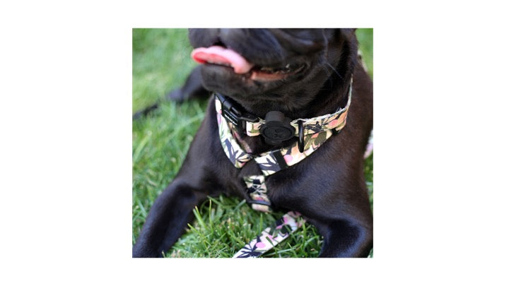 BRNX COLLAR L FOREST PINK