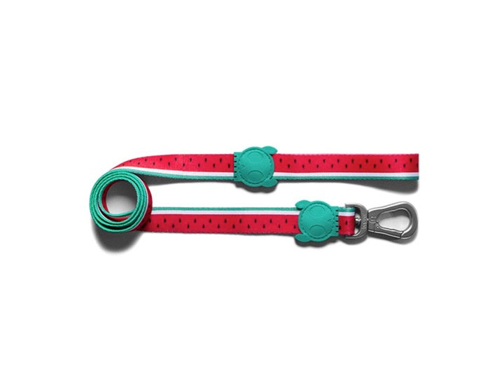 ZEEDOG LEASH LOLA L