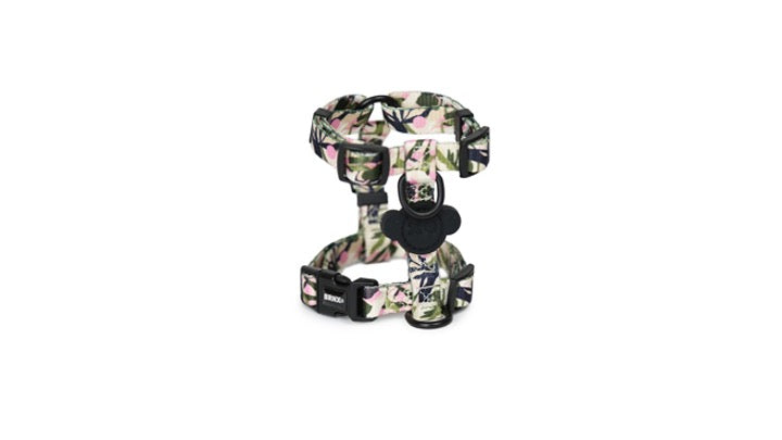 BRNX ARNES «H» M FOREST PINK