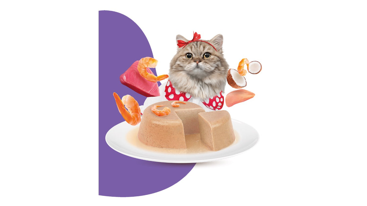 MOOCHIE  HAIRBALL CARE ( GRAIN FREE ). 70 GR.