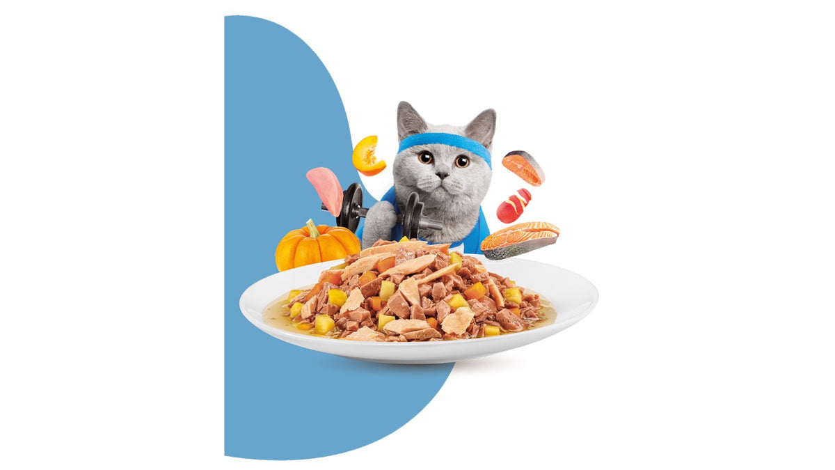 MOOCHIE  WEIGHT CONTROL ( GRAIN FREE ). 70 GR.