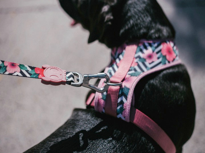 ZEEDOG AIR MESH HARNESS MAHALO M