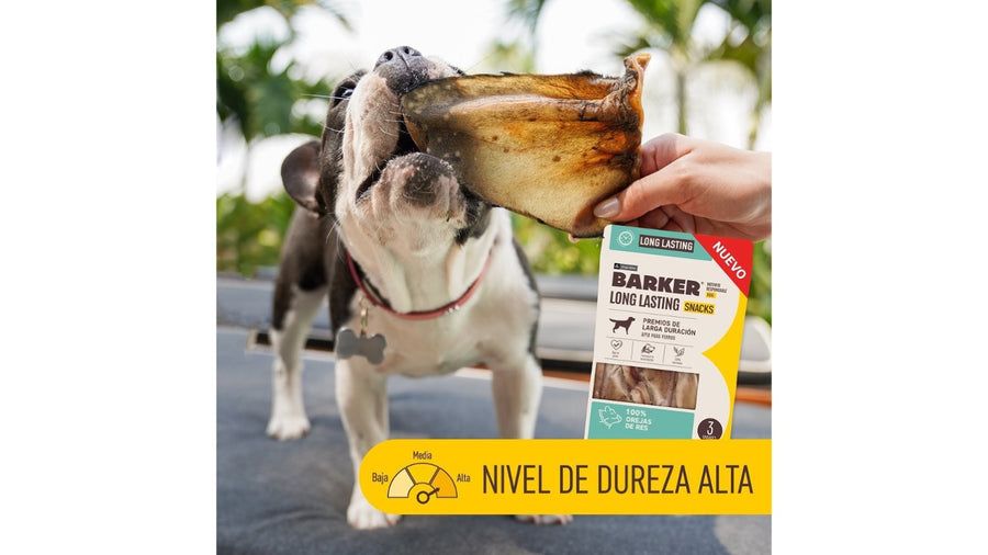 OREJAS DE RES BARKER, 3 UNIDADES.