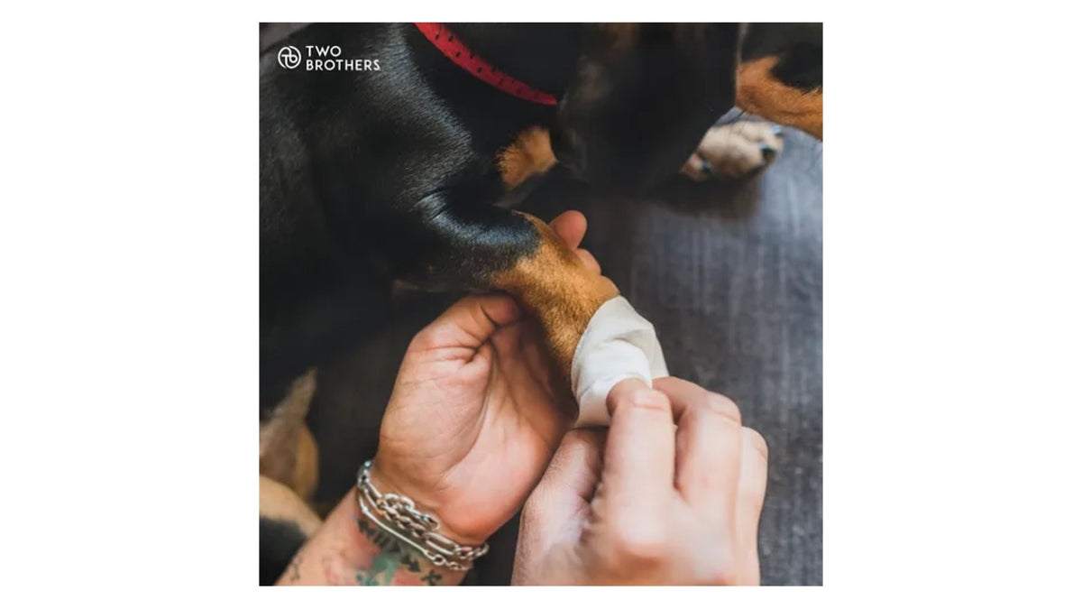 Two Brothers Hypoallergenic Wipes