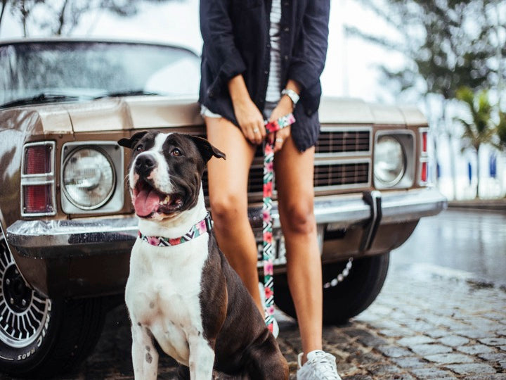 ZEEDOG LEASH MAHALO L