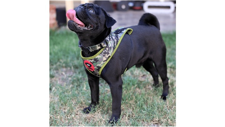BRNX COLLAR L CAMUFLAJE