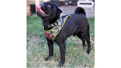 BRNX COLLAR L CAMUFLAJE