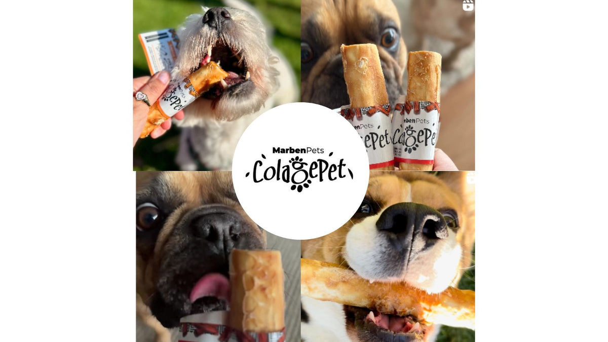 COLAGEPET STICK M CARNE, 1 UNIDAD.