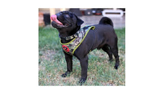 BRNX COLLAR S CAMUFLAJE