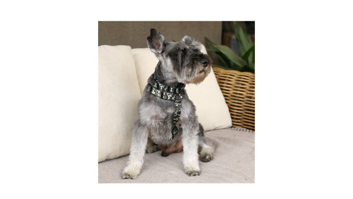 BRNX COLLAR L CAMUFLAJE