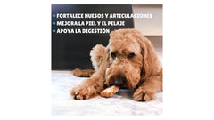 COLAGEPET STICK M CARNE, 1 UNIDAD.