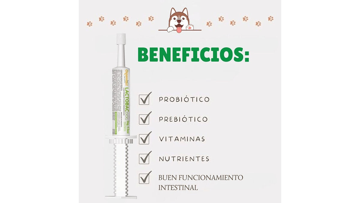 LACTOBAC DOG, 13ML.