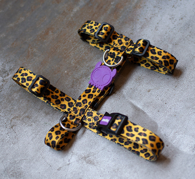 ZEEDOG H-HARNESS HONEY XS