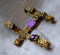 ZEEDOG H-HARNESS HONEY XS