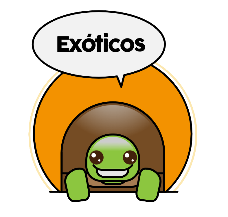 Exóticos