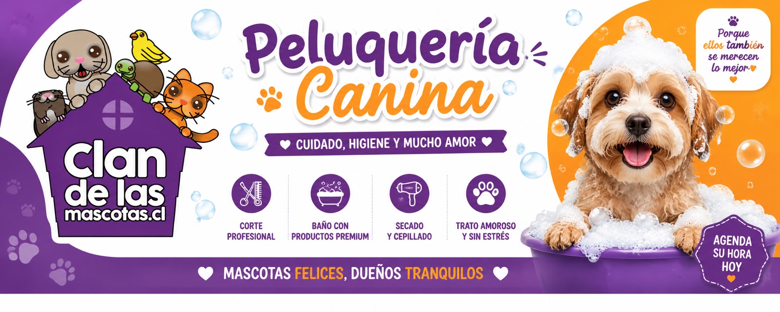 Promoción Clan de las mascotas